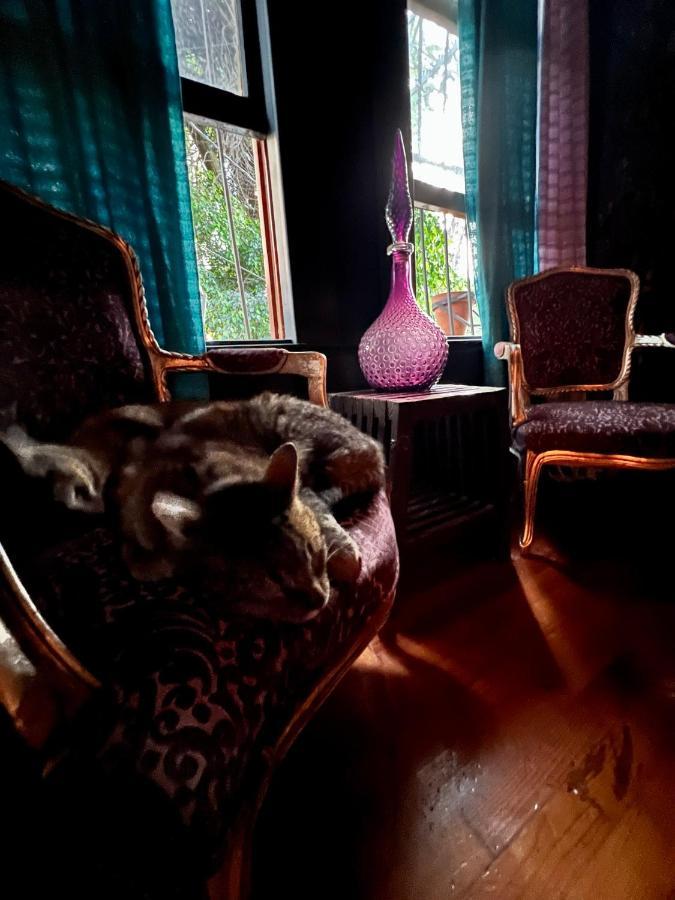 Boutique Hotel And Gallery In San Angel Inn Mexico-stad Buitenkant foto