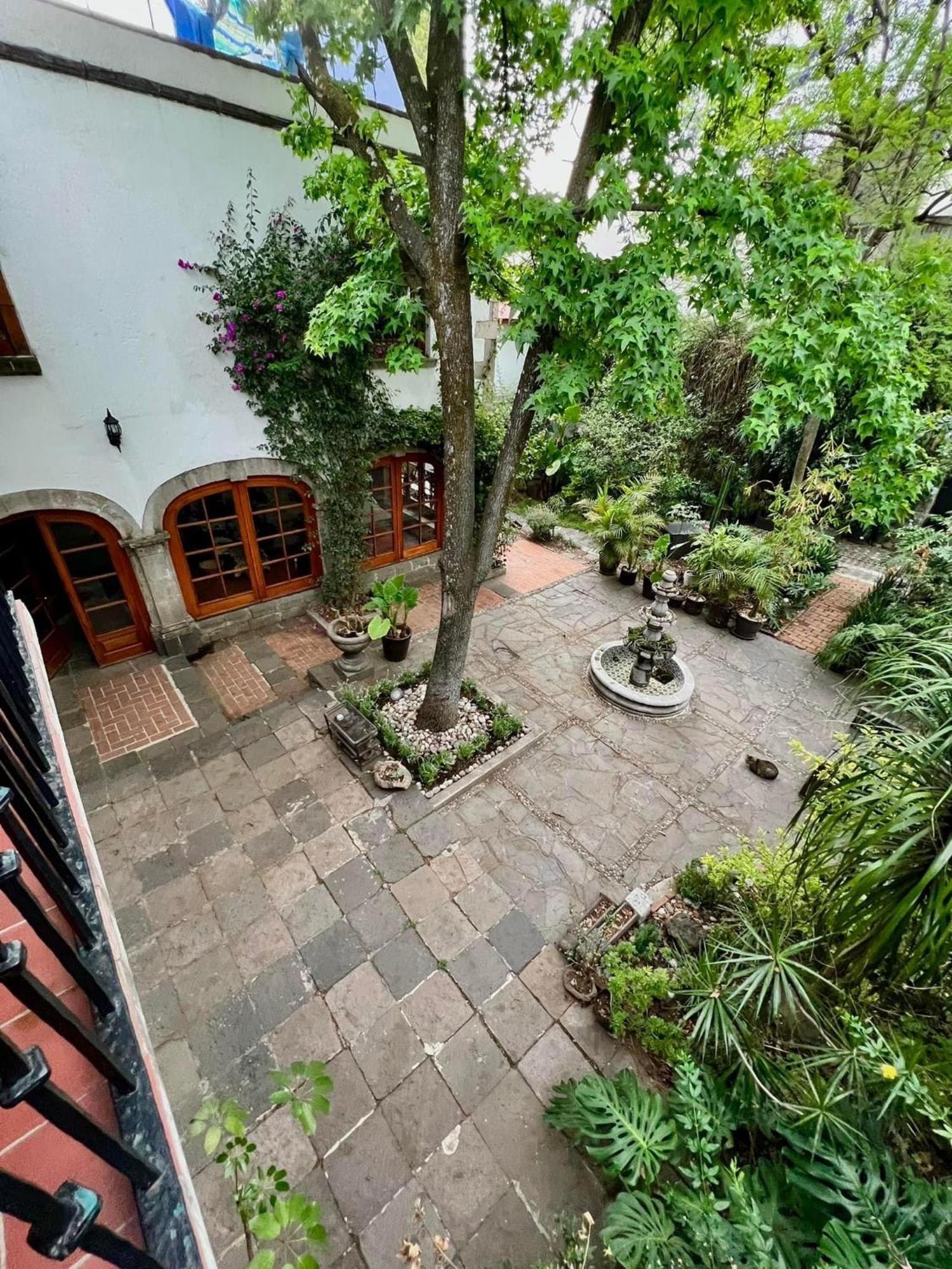Boutique Hotel And Gallery In San Angel Inn Mexico-stad Buitenkant foto